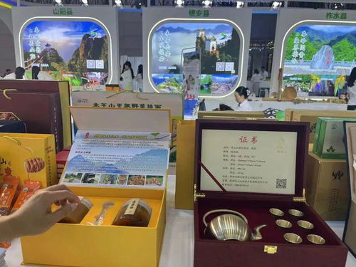 商洛文旅閃耀絲路盛會后，數字文化奇旅不停歇！